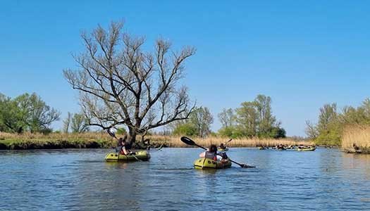 Packraft